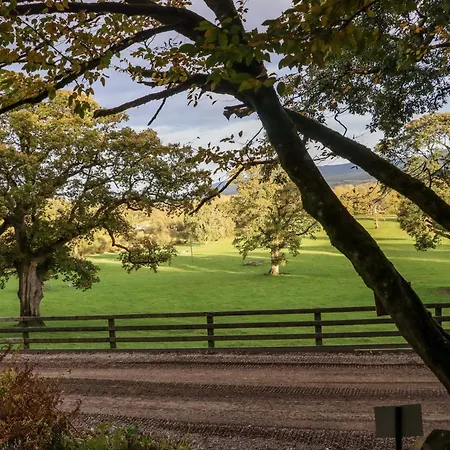 Ballybeg Pod 2 Holiday home *