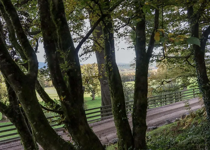 Ballybeg Pod 2 Ferienhaus *