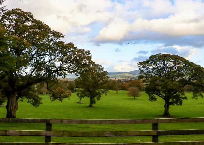 Ballybeg Pod 2 Ferienhaus *